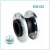 Khớp nối mềm cao su DN125