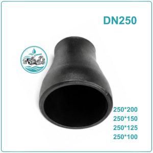 Côn thu thép hàn DN250