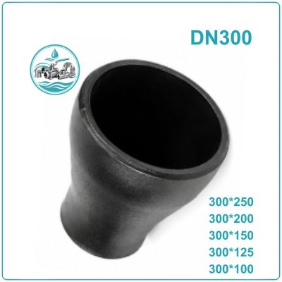 Côn thu thép hàn DN300