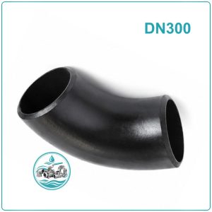 Cút thép hàn DN300