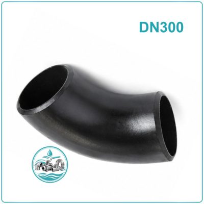 Cút thép hàn DN300