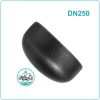 Đầu bịt ống thép DN250