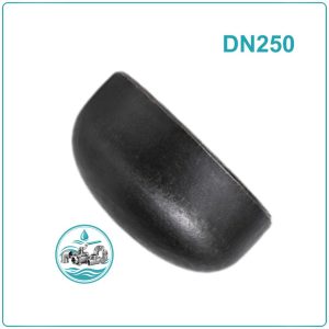 Đầu bịt ống thép DN250