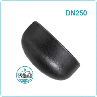 Đầu bịt ống thép DN250