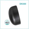 Đầu bịt ống thép DN300
