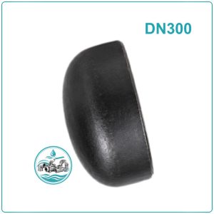 Đầu bịt ống thép DN300