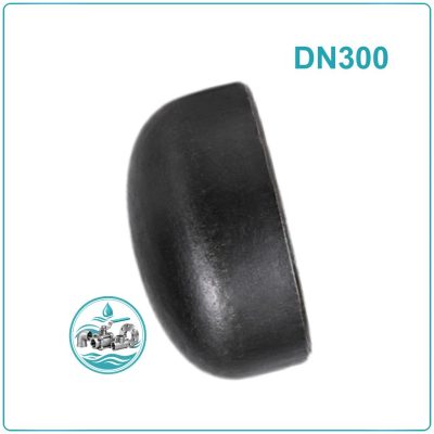 Đầu bịt ống thép DN300