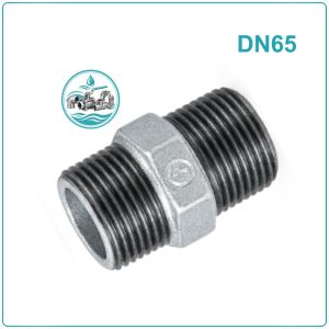 Kép ren kẽm DN65