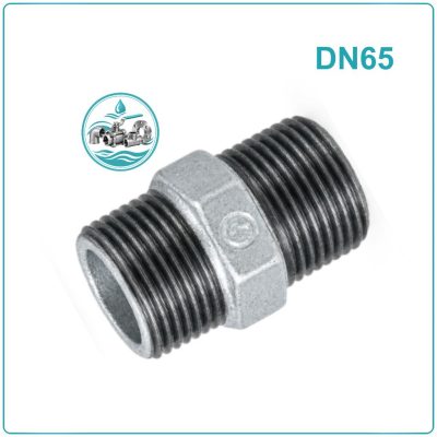 Kép ren kẽm DN65