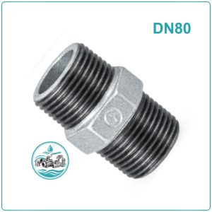 Kép ren kẽm DN80
