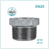 Lơ thu kẽm DN25