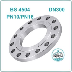 Mặt bích thép BS 4504 PN16 DN300
