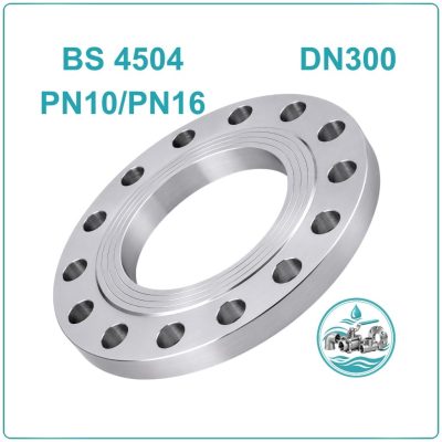 Mặt bích thép BS 4504 PN16 DN300