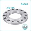 Mặt bích thép Jis 10K DN300