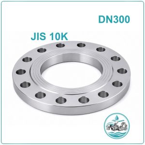Mặt bích thép Jis 10K DN300