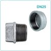 Nút bịt ren kẽm DN25