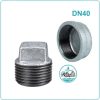 Nút bịt ren kẽm DN40