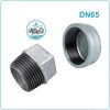 Nút bịt ren kẽm DN65