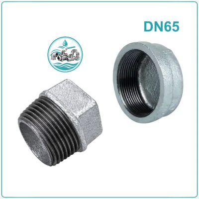 Nút bịt ren kẽm DN65