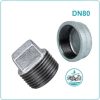 Nút bịt ren kẽm DN80