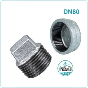 Nút bịt ren kẽm DN80