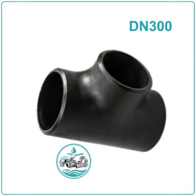 Tê thép hàn DN300