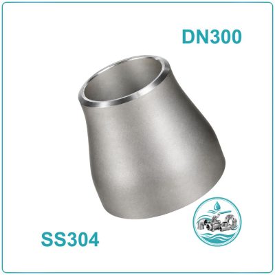 Côn thu hàn inox 304 DN300