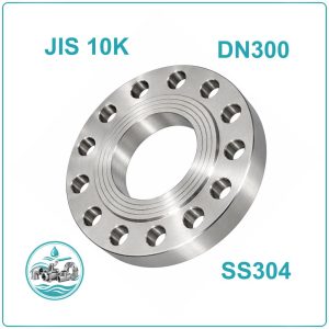 Mặt bích Inox Jis 10K DN300