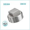 Nút bịt ren inox 304 DN10