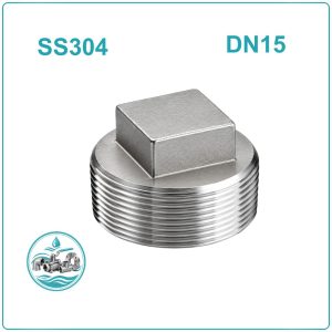 Nút bịt ren inox 304 DN15