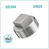 Nút bịt ren inox 304 DN20