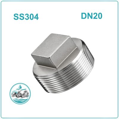 Nút bịt ren inox 304 DN20