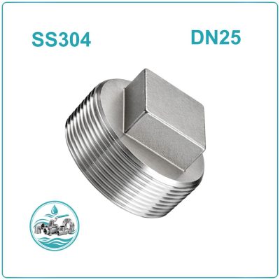 Nút bịt ren inox 304 DN25