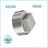 Nút bịt ren inox 304 DN40