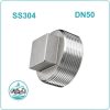 Nút bịt ren inox 304 DN50