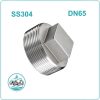 Nút bịt ren inox 304 DN65