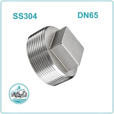 Nút bịt ren inox 304 DN65