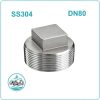 Nút bịt ren inox 304 DN80